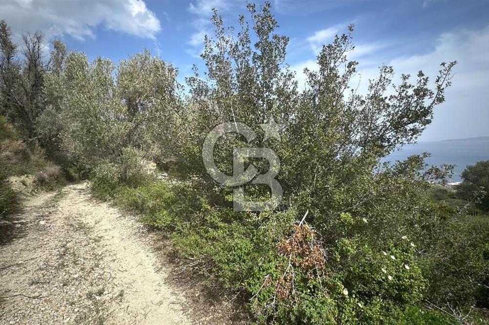 KARABURUN İNECİK'TE DENIZ MANZARALI SATILIK 5.820 M2 TARLA