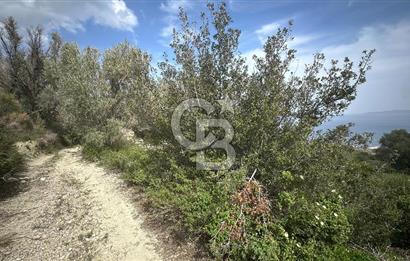 KARABURUN İNECİK'TE DENIZ MANZARALI SATILIK 5.820 M2 TARLA