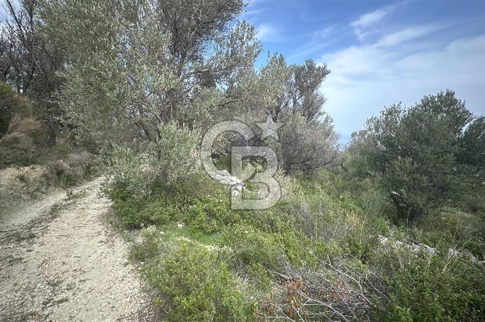 KARABURUN İNECİK'TE DENIZ MANZARALI SATILIK 5.820 M2 TARLA