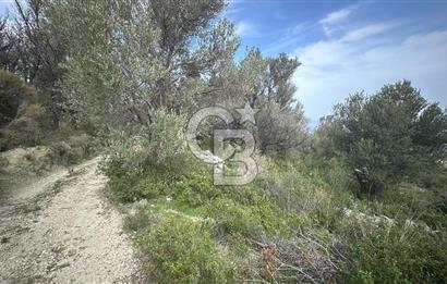 KARABURUN İNECİK'TE DENIZ MANZARALI SATILIK 5.820 M2 TARLA