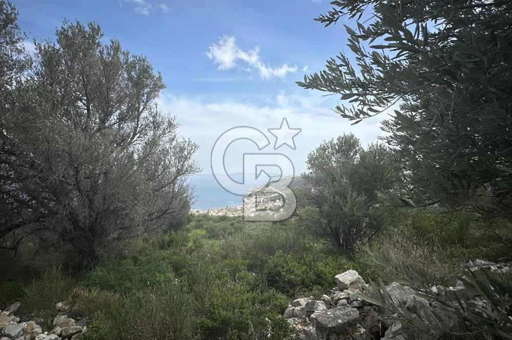 KARABURUN İNECİK'TE DENIZ MANZARALI SATILIK 5.820 M2 TARLA