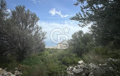 KARABURUN İNECİK'TE DENIZ MANZARALI SATILIK 5.820 M2 TARLA