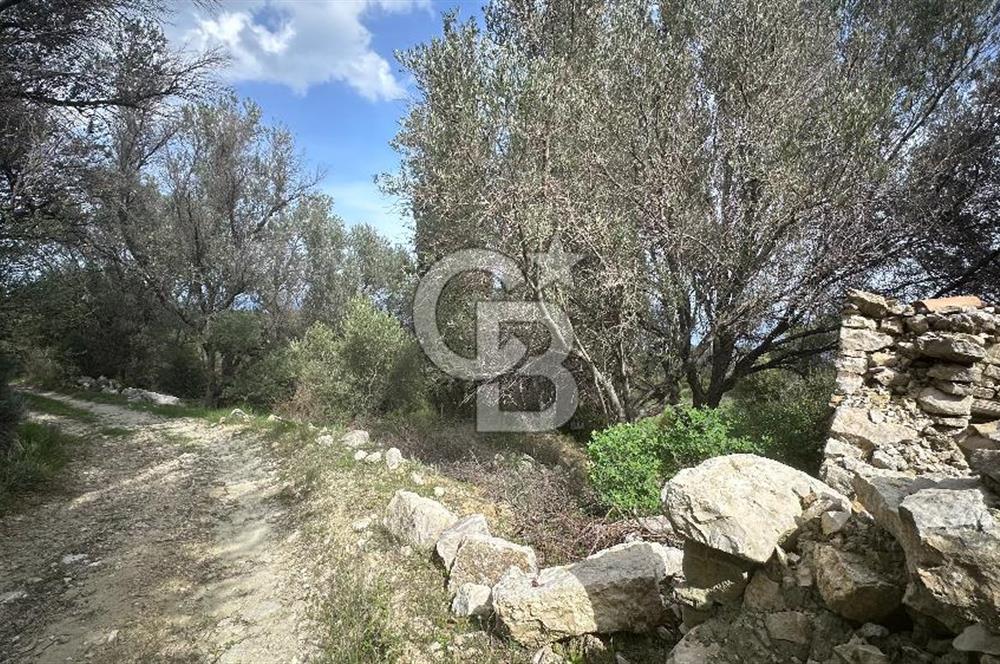 KARABURUN İNECİK'TE DENIZ MANZARALI SATILIK 5.820 M2 TARLA