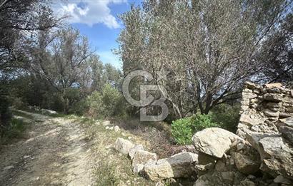 KARABURUN İNECİK'TE DENIZ MANZARALI SATILIK 5.820 M2 TARLA