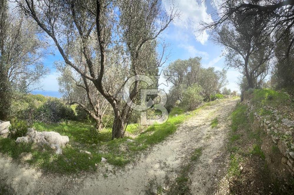 KARABURUN İNECİK'TE DENIZ MANZARALI SATILIK 5.820 M2 TARLA