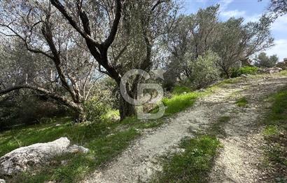KARABURUN İNECİK'TE DENIZ MANZARALI SATILIK 5.820 M2 TARLA