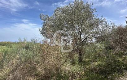 KARABURUN İNECİK'TE DENIZ MANZARALI SATILIK 5.820 M2 TARLA