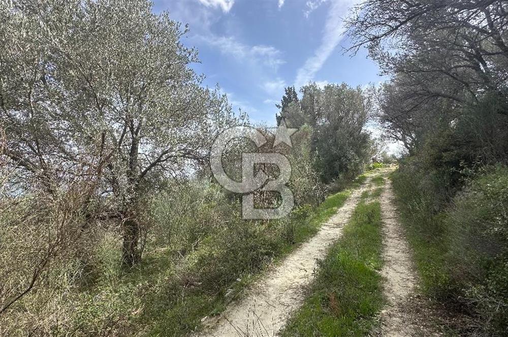 KARABURUN İNECİK'TE DENIZ MANZARALI SATILIK 5.820 M2 TARLA