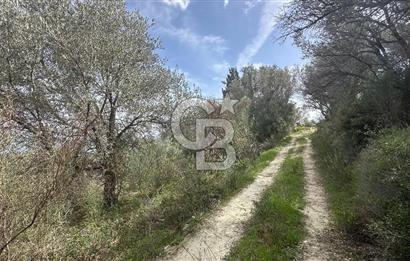 KARABURUN İNECİK'TE DENIZ MANZARALI SATILIK 5.820 M2 TARLA