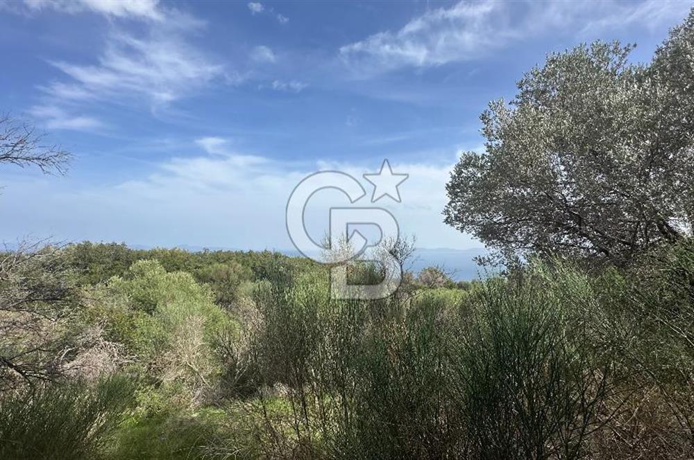 KARABURUN İNECİK'TE DENIZ MANZARALI SATILIK 5.820 M2 TARLA