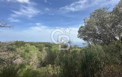 KARABURUN İNECİK'TE DENIZ MANZARALI SATILIK 5.820 M2 TARLA