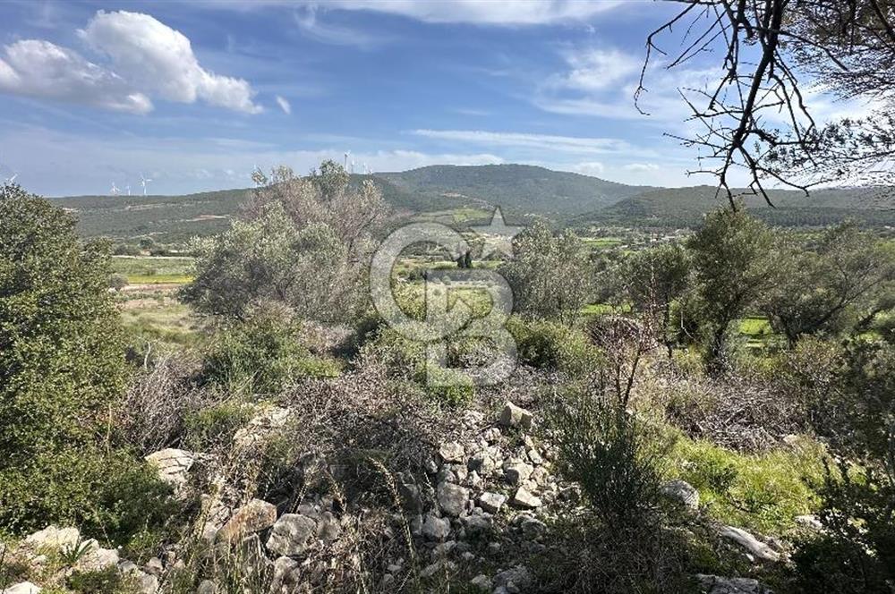 KARABURUN KÖSEDERE'DE SATILIK 6.469 METREKARE TARLA