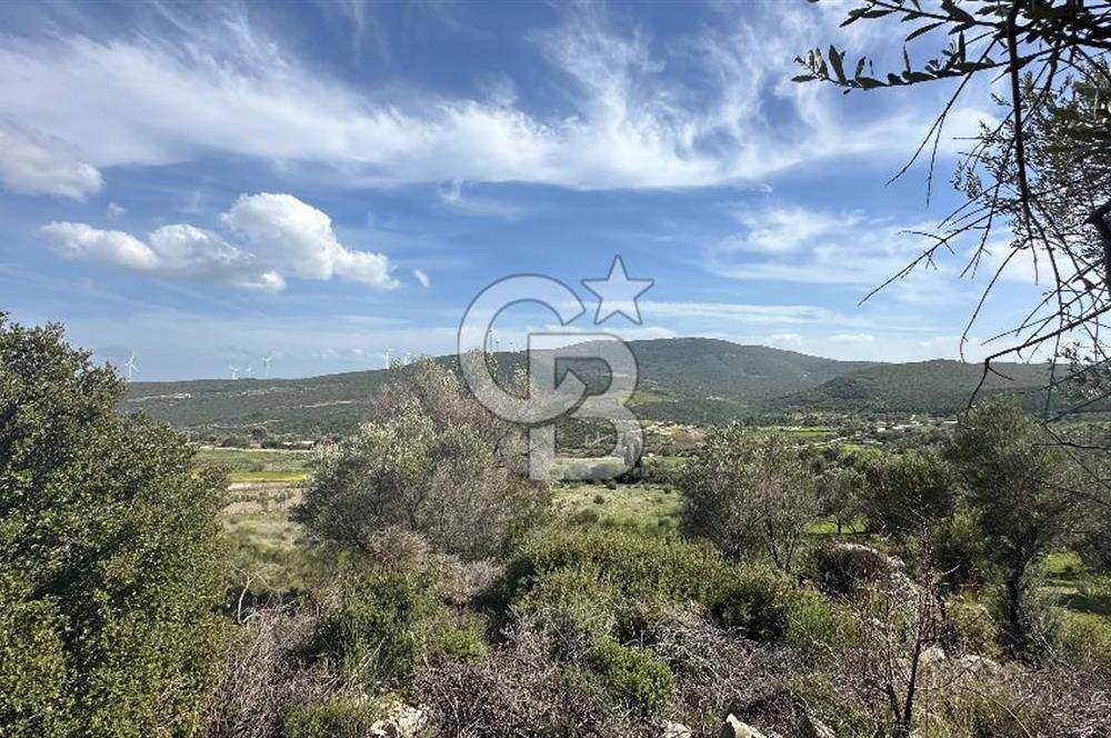 KARABURUN KÖSEDERE'DE SATILIK 6.469 METREKARE TARLA