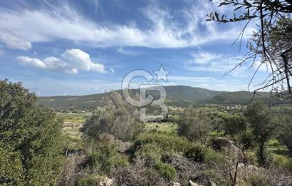KARABURUN KÖSEDERE'DE SATILIK 6.469 METREKARE TARLA