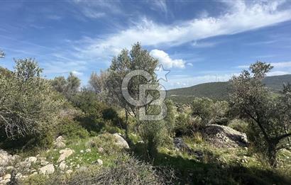 KARABURUN KÖSEDERE'DE SATILIK 6.469 METREKARE TARLA