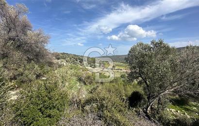KARABURUN KÖSEDERE'DE SATILIK 6.469 METREKARE TARLA