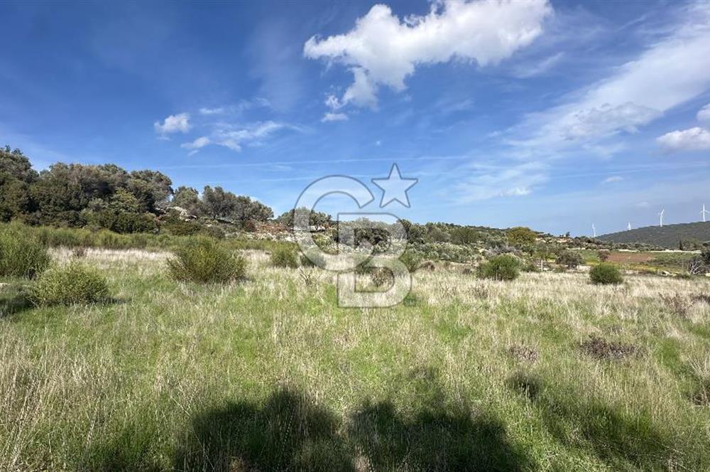 KARABURUN KÖSEDERE'DE SATILIK 6.469 METREKARE TARLA