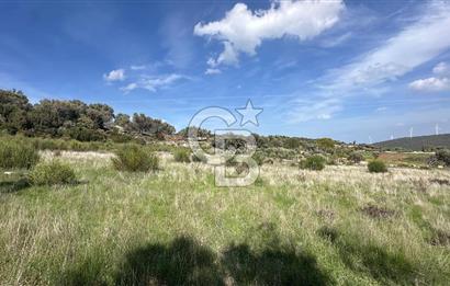 KARABURUN KÖSEDERE'DE SATILIK 6.469 METREKARE TARLA