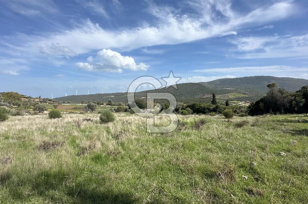 KARABURUN KÖSEDERE'DE SATILIK 6.469 METREKARE TARLA