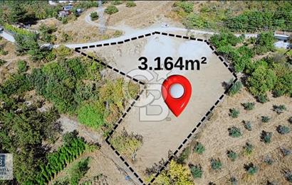 CB BLACK DAĞYENİCE SATILIK ANAYOLACEPHE 3164M2 FIRSATT ARAZİ*
