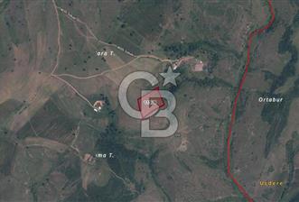 GEBZE MOLLAFENARİ BUNGALOV YAPIMINA UYGUN 250 M2 ARSA 