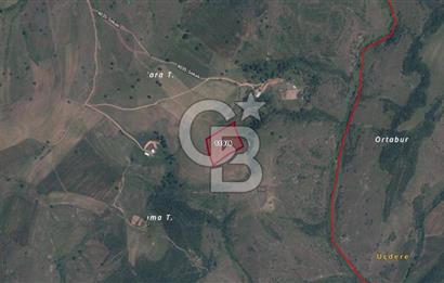 GEBZE MOLLAFENARİ BUNGALOV YAPIMINA UYGUN 250 M2 ARSA 