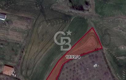 ELMADAĞ YENİMAHALLE TAŞPINAR MEVKİİ'NDE 2.127 M2 SATILIK TARLA