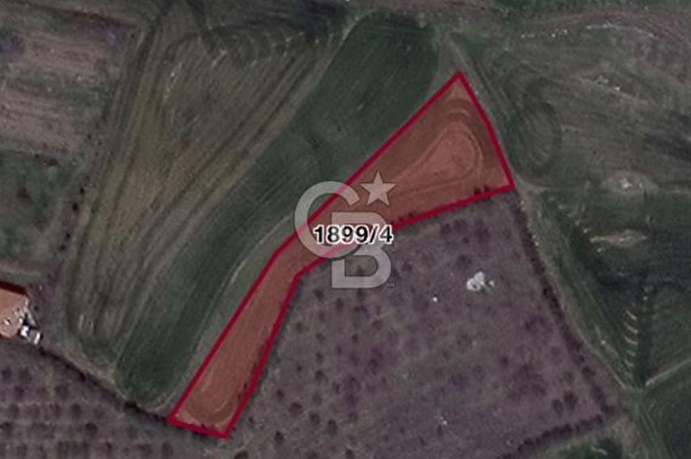 ELMADAĞ YENİMAHALLE TAŞPINAR MEVKİİ'NDE 2.127 M2 SATILIK TARLA
