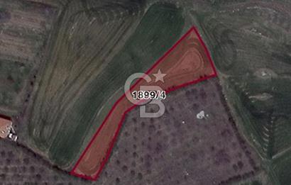 ELMADAĞ YENİMAHALLE TAŞPINAR MEVKİİ'NDE 2.127 M2 SATILIK TARLA