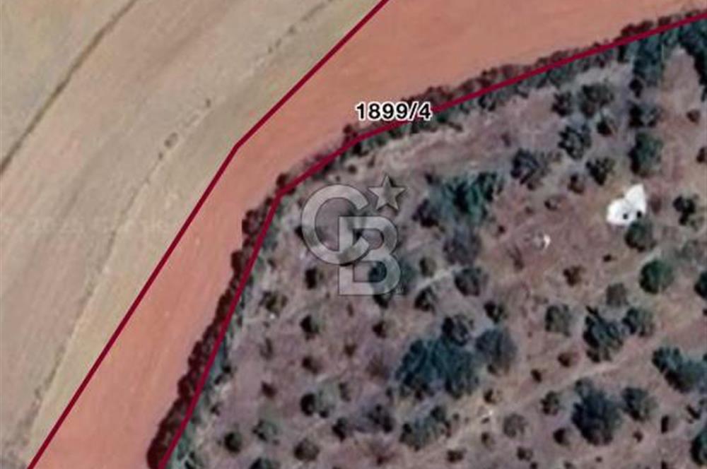 ELMADAĞ YENİMAHALLE TAŞPINAR MEVKİİ'NDE 2.127 M2 SATILIK TARLA