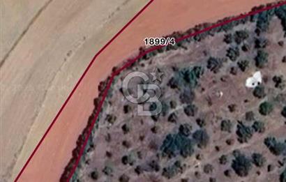 ELMADAĞ YENİMAHALLE TAŞPINAR MEVKİİ'NDE 2.127 M2 SATILIK TARLA
