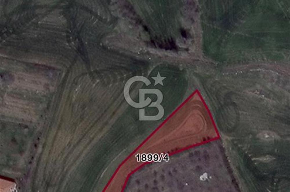 ELMADAĞ YENİMAHALLE TAŞPINAR MEVKİİ'NDE 2.127 M2 SATILIK TARLA