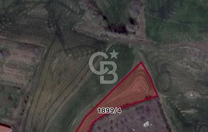 ELMADAĞ YENİMAHALLE TAŞPINAR MEVKİİ'NDE 2.127 M2 SATILIK TARLA