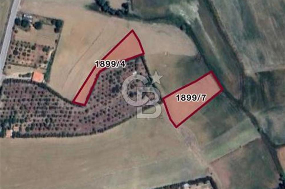 ELMADAĞ YENİMAHALLE TAŞPINAR MEVKİİ'NDE 2.127 M2 SATILIK TARLA