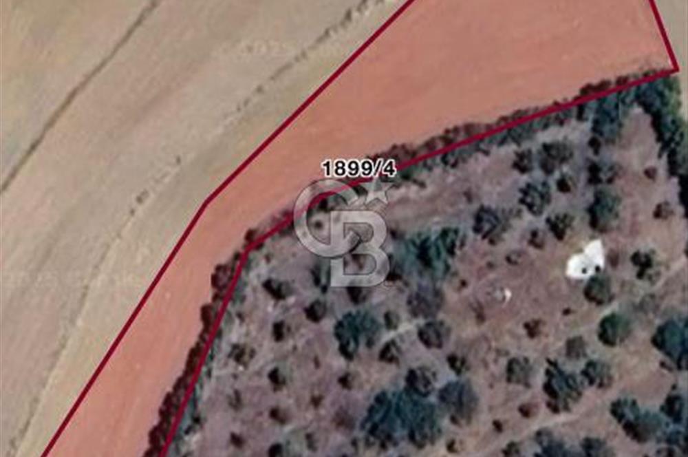 ELMADAĞ YENİMAHALLE TAŞPINAR MEVKİİ'NDE 2.127 M2 SATILIK TARLA