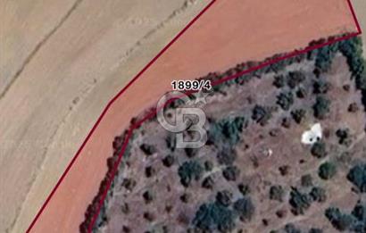 ELMADAĞ YENİMAHALLE TAŞPINAR MEVKİİ'NDE 2.127 M2 SATILIK TARLA
