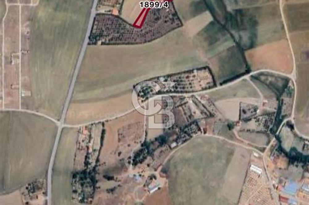 ELMADAĞ YENİMAHALLE TAŞPINAR MEVKİİ'NDE 2.127 M2 SATILIK TARLA