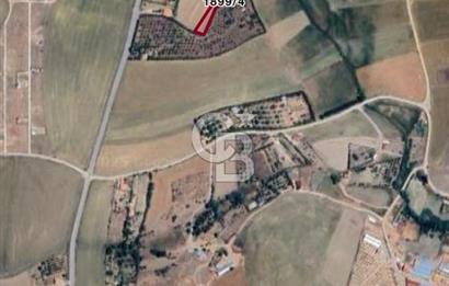ELMADAĞ YENİMAHALLE TAŞPINAR MEVKİİ'NDE 2.127 M2 SATILIK TARLA