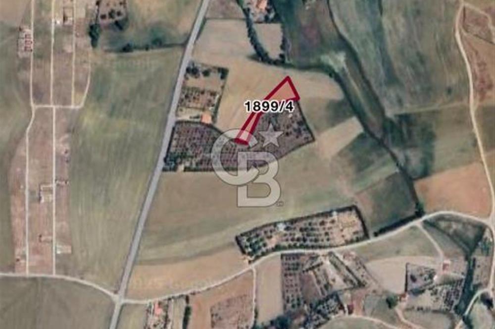 ELMADAĞ YENİMAHALLE TAŞPINAR MEVKİİ'NDE 2.127 M2 SATILIK TARLA