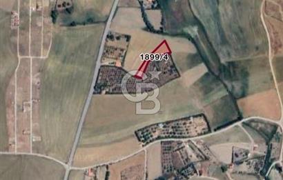 ELMADAĞ YENİMAHALLE TAŞPINAR MEVKİİ'NDE 2.127 M2 SATILIK TARLA