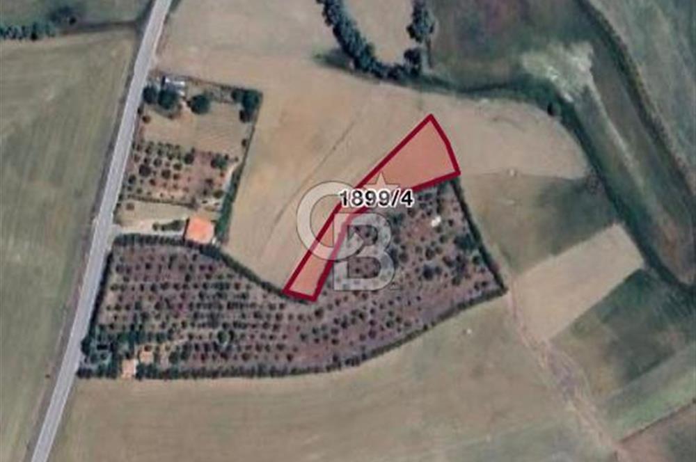 ELMADAĞ YENİMAHALLE TAŞPINAR MEVKİİ'NDE 2.127 M2 SATILIK TARLA