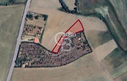 ELMADAĞ YENİMAHALLE TAŞPINAR MEVKİİ'NDE 2.127 M2 SATILIK TARLA