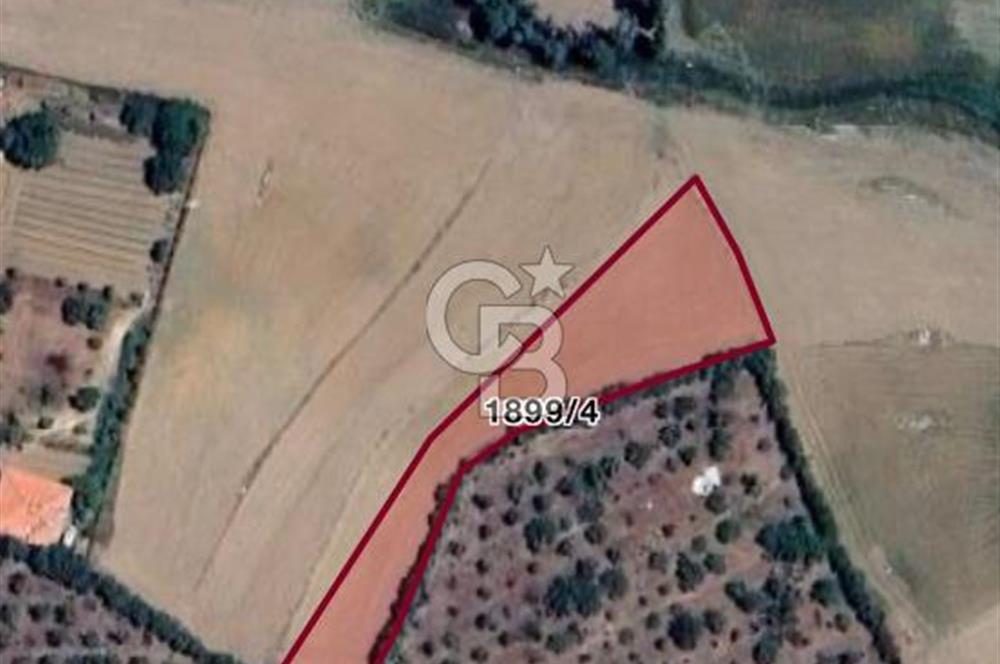 ELMADAĞ YENİMAHALLE TAŞPINAR MEVKİİ'NDE 2.127 M2 SATILIK TARLA