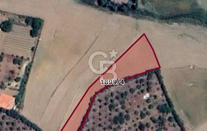 ELMADAĞ YENİMAHALLE TAŞPINAR MEVKİİ'NDE 2.127 M2 SATILIK TARLA