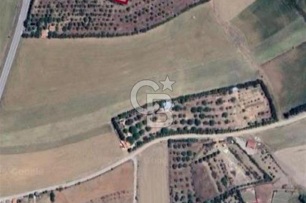 ELMADAĞ YENİMAHALLE TAŞPINAR MEVKİİ'NDE 2.127 M2 SATILIK TARLA