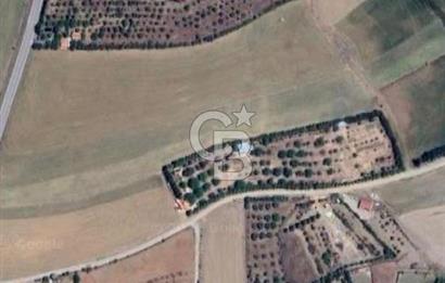 ELMADAĞ YENİMAHALLE TAŞPINAR MEVKİİ'NDE 2.127 M2 SATILIK TARLA