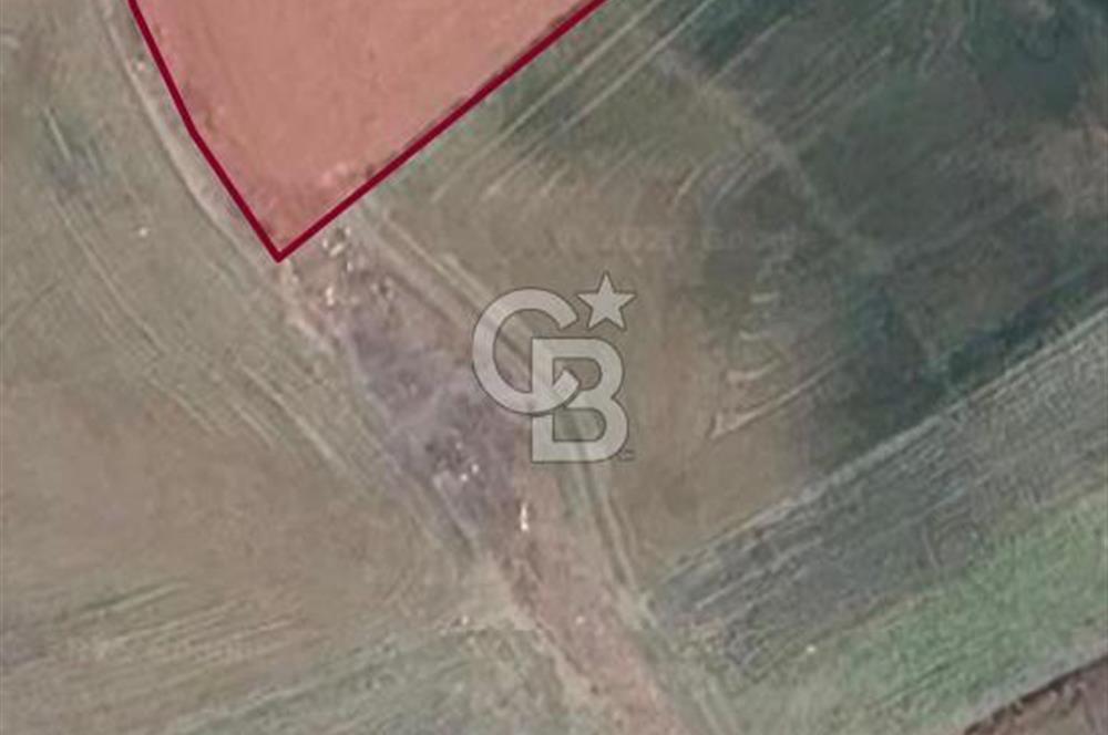 ELMADAĞ YENİMAHALLE TAŞPINAR MEVKİİ'NDE 2.881 M2 SATILIK TARLA