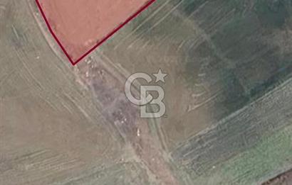 ELMADAĞ YENİMAHALLE TAŞPINAR MEVKİİ'NDE 2.881 M2 SATILIK TARLA