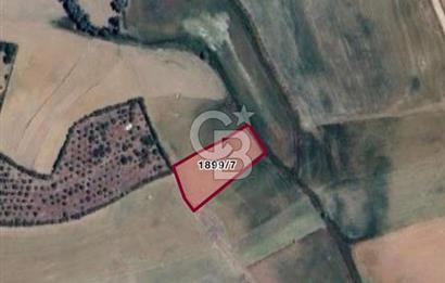 ELMADAĞ YENİMAHALLE TAŞPINAR MEVKİİ'NDE 2.881 M2 SATILIK TARLA