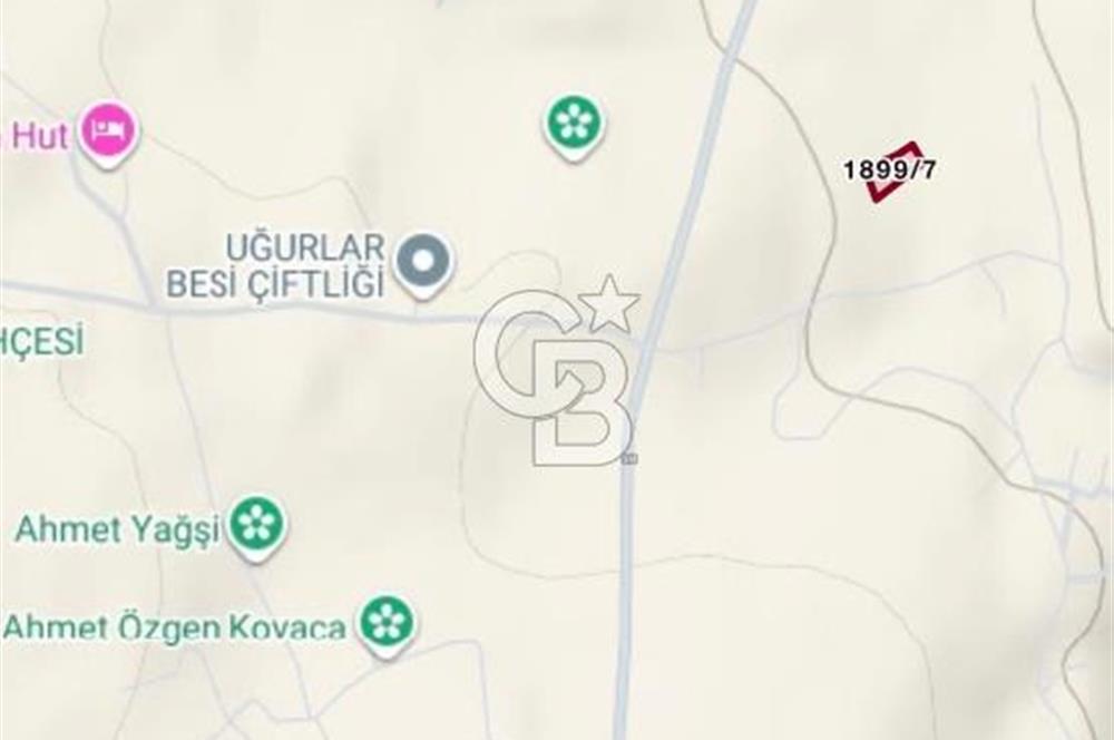ELMADAĞ YENİMAHALLE TAŞPINAR MEVKİİ'NDE 2.881 M2 SATILIK TARLA